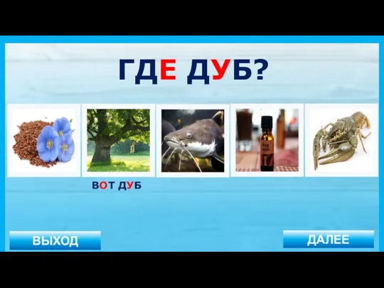 ВЫХОД ДАЛЕЕ ВОТ ДУБ ГДЕ ДУБ?