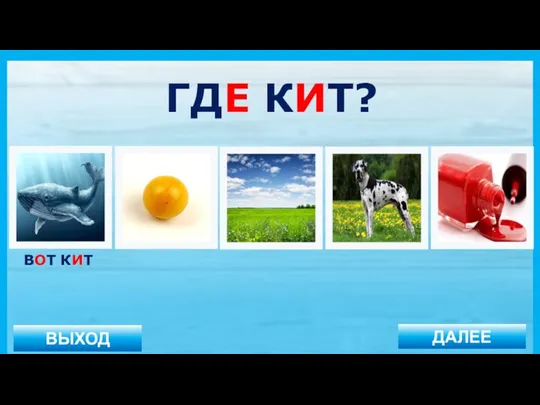 ВЫХОД ДАЛЕЕ ВОТ КИТ ГДЕ КИТ?