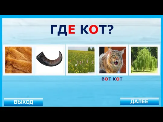 ВЫХОД ДАЛЕЕ ВОТ КОТ ГДЕ КОТ?