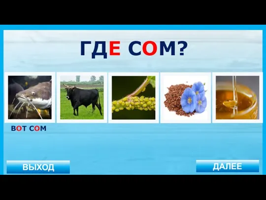 ВЫХОД ДАЛЕЕ ВОТ СОМ ГДЕ СОМ?