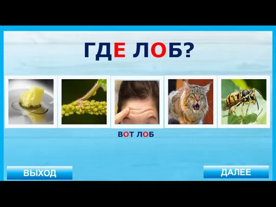 ВЫХОД ДАЛЕЕ ВОТ ЛОБ ГДЕ ЛОБ?