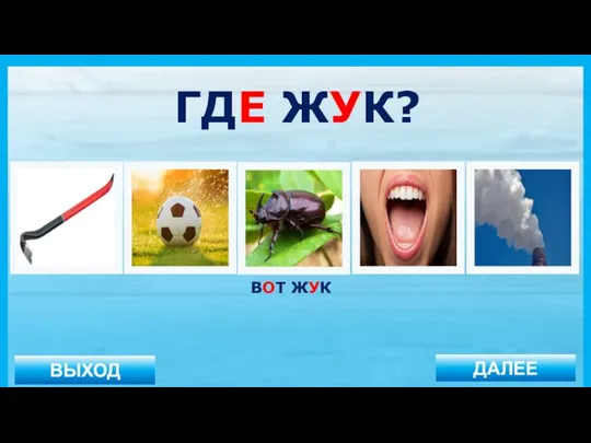 ВЫХОД ДАЛЕЕ ВОТ ЖУК ГДЕ ЖУК?