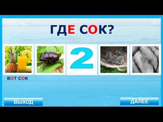 ВЫХОД ДАЛЕЕ ВОТ СОК ГДЕ СОК?