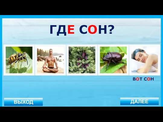 ВЫХОД ДАЛЕЕ ВОТ СОН ГДЕ СОН?