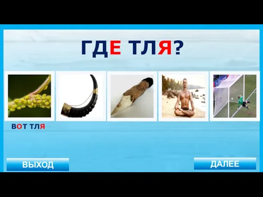 ВЫХОД ДАЛЕЕ ВОТ ТЛЯ ГДЕ ТЛЯ?