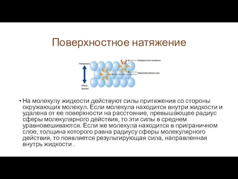 Поверхностное натяжение На молекулу жидкости действуют силы притяжения со стороны