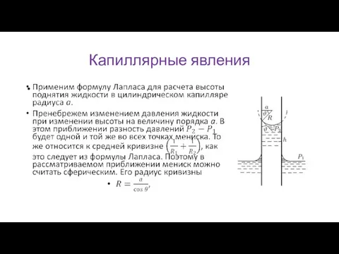 Капиллярные явления