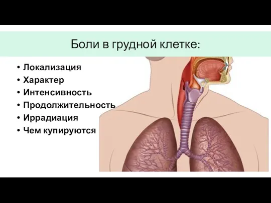 Боли в грудной клетке: Локализация Характер Интенсивность Продолжительность Иррадиация Чем купируются