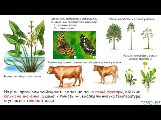 На різні організми здійснюють вплив не лише певні фактори, а