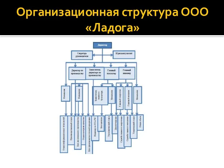 Организационная структура ООО «Ладога»