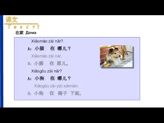 Xiǎomāo zài nǎr? A：小猫 在 哪儿？ Xiǎomāo zài nàr. B：小猫 在 那儿。 Xiǎoɡǒu
