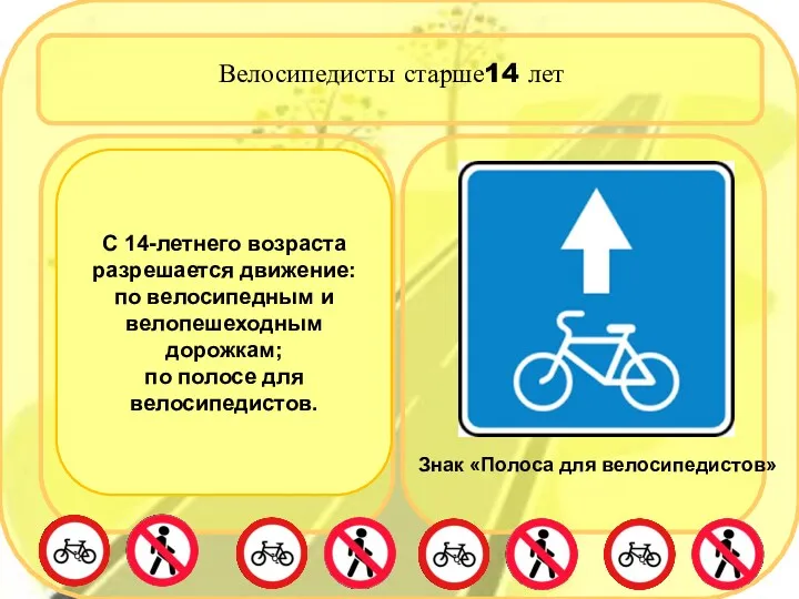 Велосипедисты старше14 лет С 14-летнего возраста разрешается движение: по велосипедным