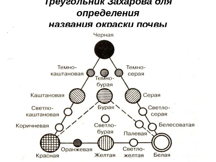 Треугольник Захарова для определения названия окраски почвы