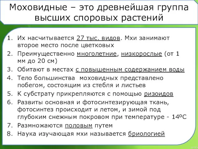 Моховидные – это древнейшая группа высших споровых растений Их насчитывается 27 тыс. видов.