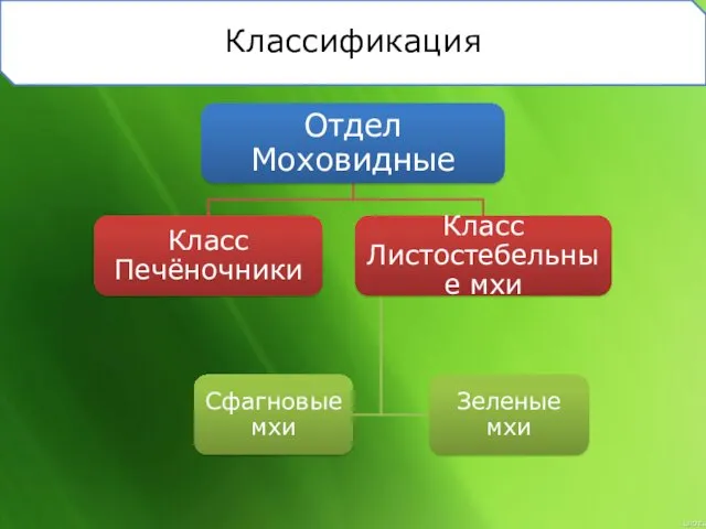 Классификация