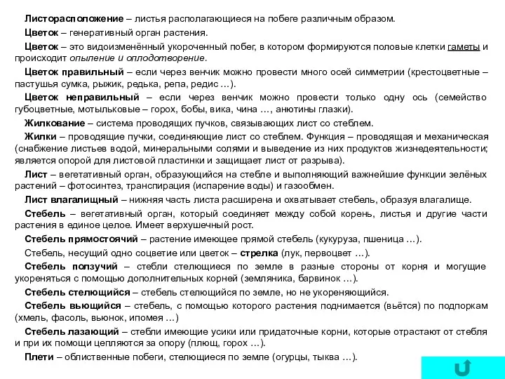 Листорасположение – листья располагающиеся на побеге различным образом. Цветок –