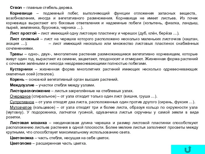 Ствол – главные стебель дерева. Корневище – подземный побег, выполняющий