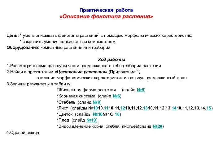 Практическая работа «Описание фенотипа растения» Цель: * уметь описывать фенотипы