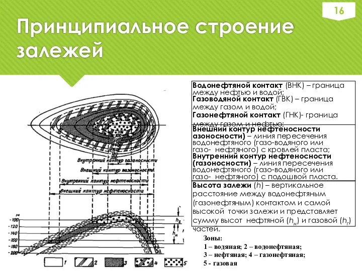 Принципиальное строение залежей Зоны: 1 – водяная; 2 – водонефтяная;