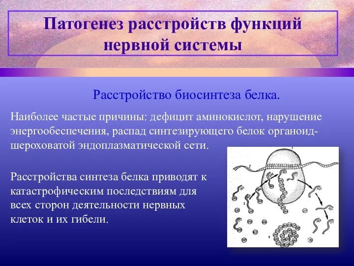 Патогенез расстройств функций нервной системы Расстройство биосинтеза белка. Наиболее частые