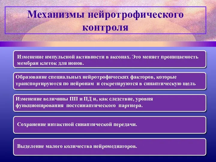 Механизмы нейротрофического контроля Изменение импульсной активности в аксонах. Это меняет