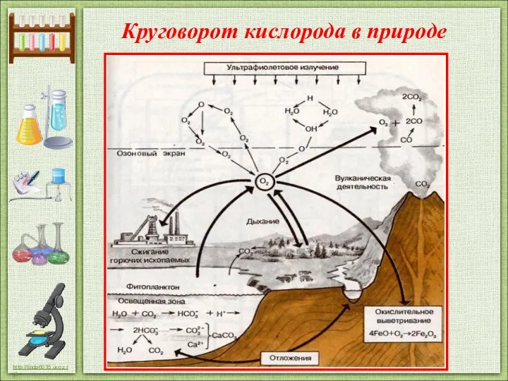 Круговорот кислорода в природе