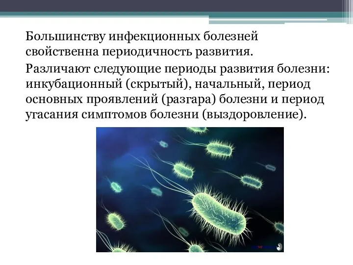 Большинству инфекционных болезней свойственна периодичность развития. Различают следующие периоды развития