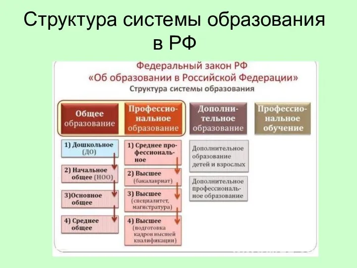 Структура системы образования в РФ