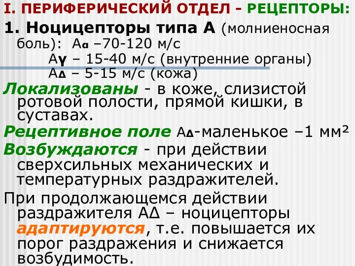 I. ПЕРИФЕРИЧЕСКИЙ ОТДЕЛ - РЕЦЕПТОРЫ: 1. Ноцицепторы типа А (молниеносная