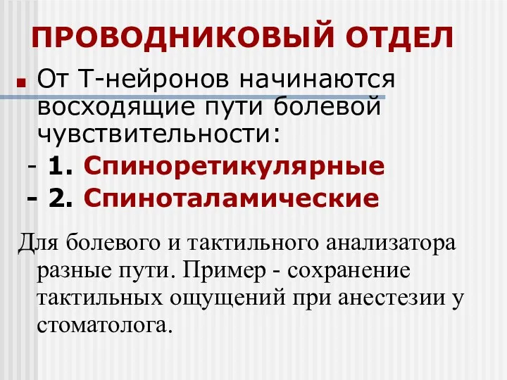 ПРОВОДНИКОВЫЙ ОТДЕЛ От Т-нейронов начинаются восходящие пути болевой чувствительности: -