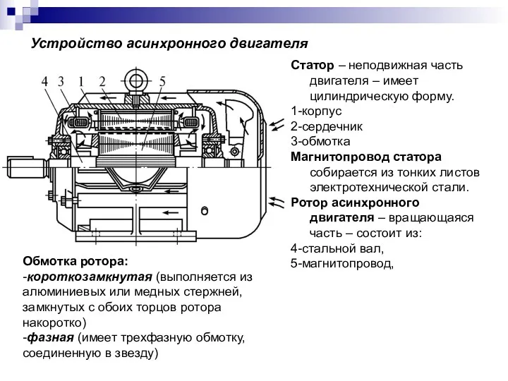 Устройство асинхронного двигателя Статор – неподвижная часть двигателя – имеет