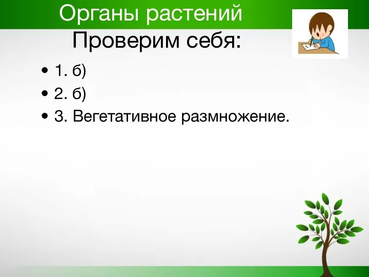 Органы растений Проверим себя: 1. б) 2. б) 3. Вегетативное размножение.