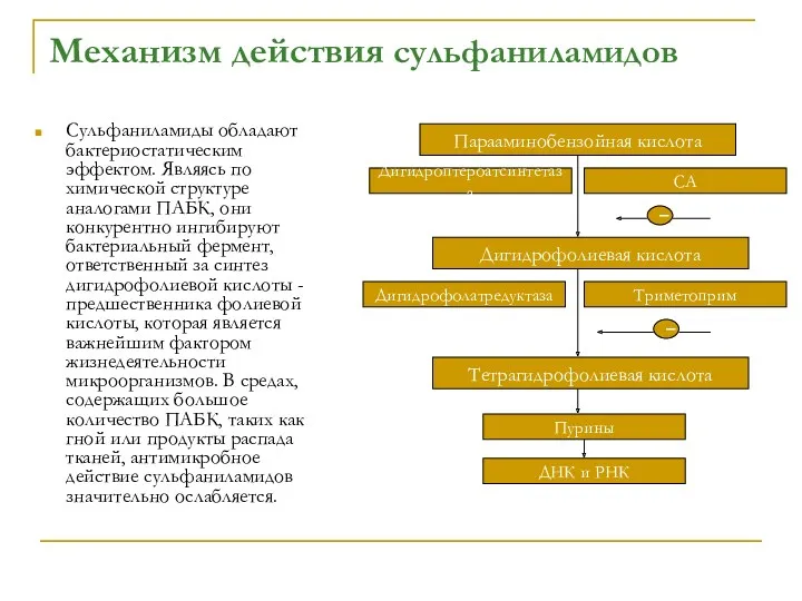 Механизм действия сульфаниламидов Сульфаниламиды обладают бактериостатическим эффектом. Являясь по химической