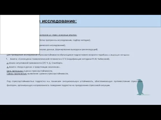 Эмпирическое исследование: Эмпирическое исследование состояло из трех основных этапов: Подготовительный