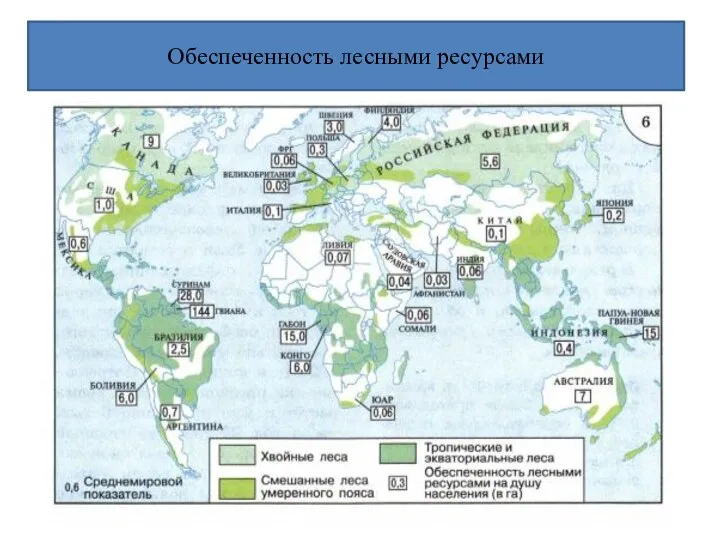 Обеспеченность лесными ресурсами