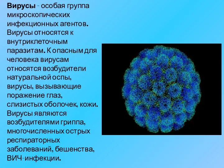 Вирусы - особая группа микроскопических инфекционных агентов. Вирусы относятся к