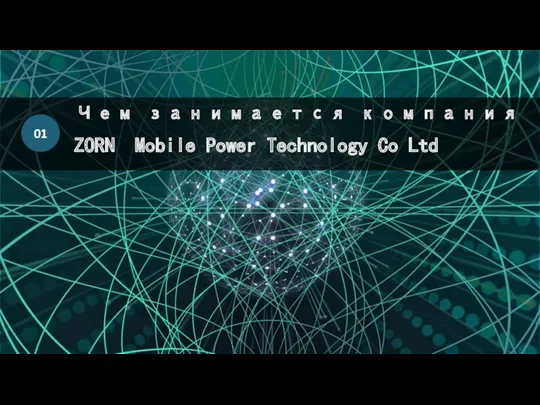 Чем занимается компания ZORN Mobile Power Technology Co Ltd 01