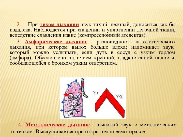 2. При тихом дыхании звук тихий, нежный, доносится как бы