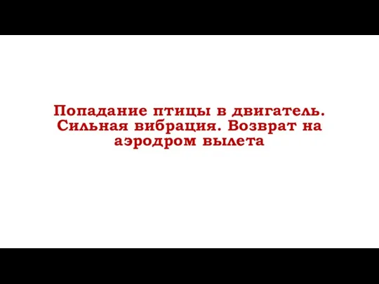 Попадание птицы в двигатель. Сильная вибрация. Возврат на аэродром вылета