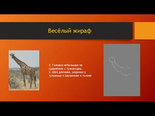 Весёлый жираф 2. Головка небольшая по сравнению с туловищем. 3.