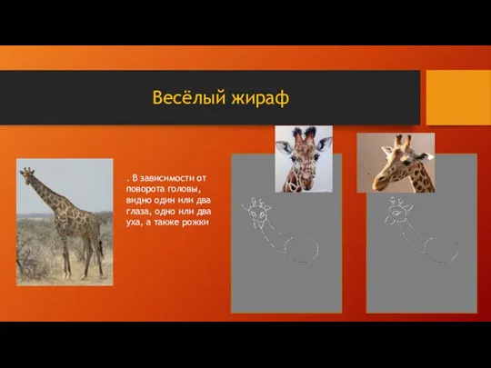 Весёлый жираф . В зависимости от поворота головы, видно один