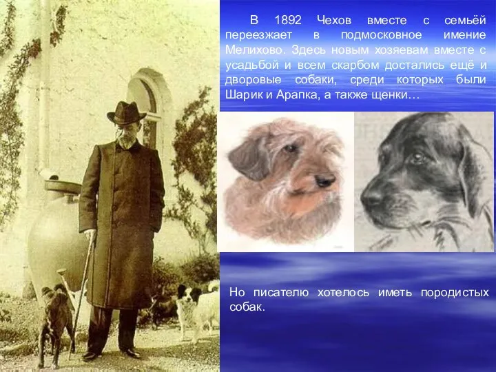 В 1892 Чехов вместе с семьёй переезжает в подмосковное имение Мелихово. Здесь новым