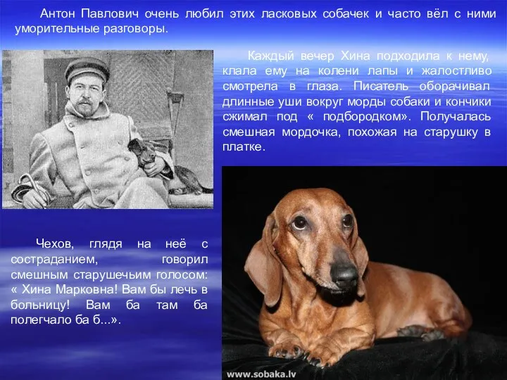 Антон Павлович очень любил этих ласковых собачек и часто вёл с ними уморительные