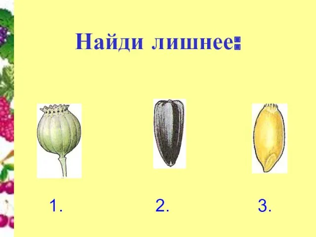 Найди лишнее: 1. 2. 3.