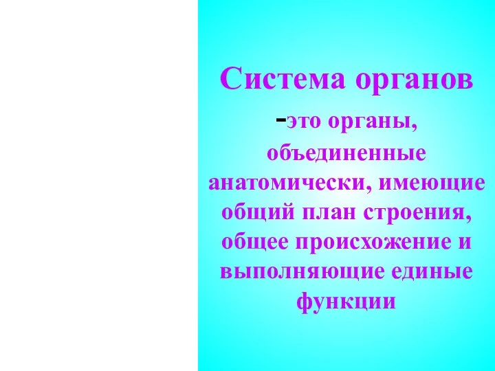 Система органов -это органы, объединенные анатомически, имеющие общий план строения,общее происхожение и выполняющие единые функции