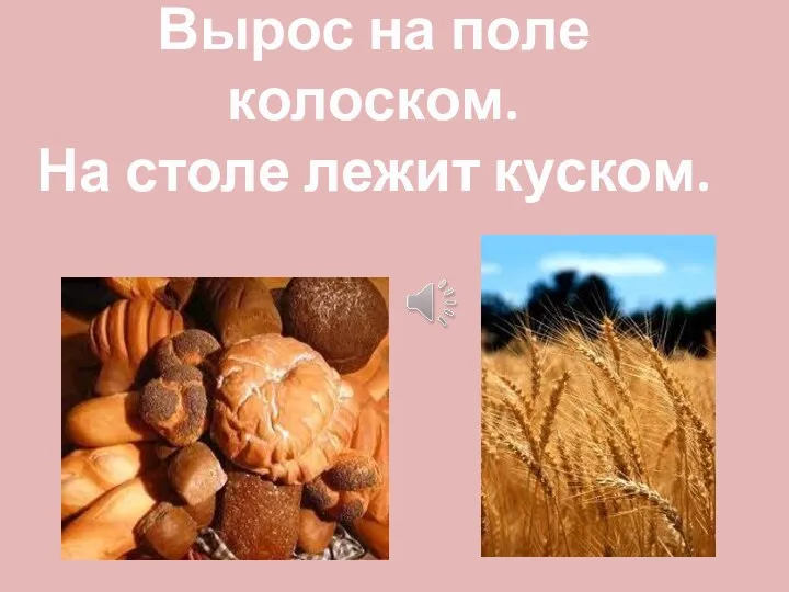 Вырос на поле колоском. На столе лежит куском.