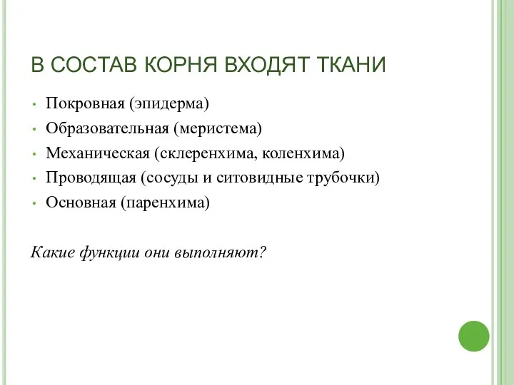 В СОСТАВ КОРНЯ ВХОДЯТ ТКАНИ Покровная (эпидерма) Образовательная (меристема) Механическая