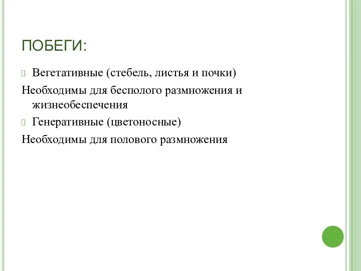 ПОБЕГИ: Вегетативные (стебель, листья и почки) Необходимы для бесполого размножения