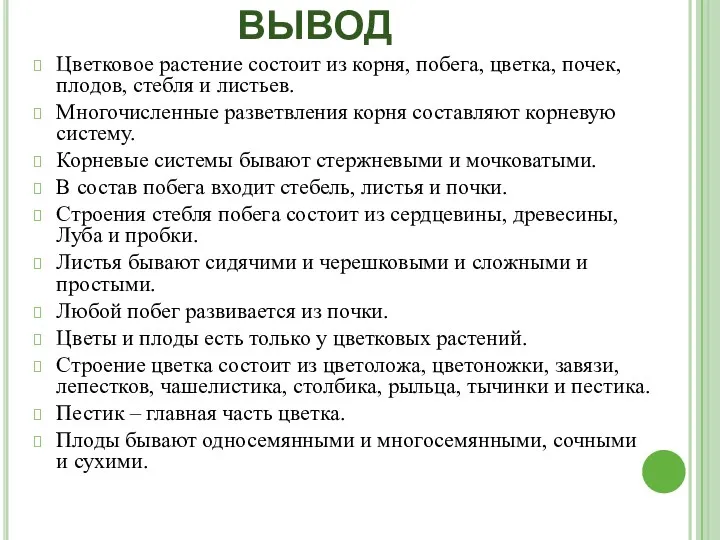 ВЫВОД Цветковое растение состоит из корня, побега, цветка, почек, плодов,