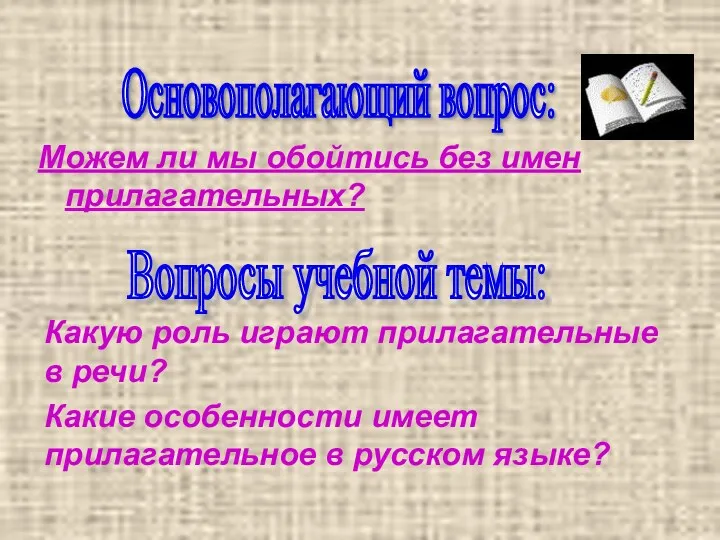 Можем ли мы обойтись без имен прилагательных? Основополагающий вопрос: Вопросы